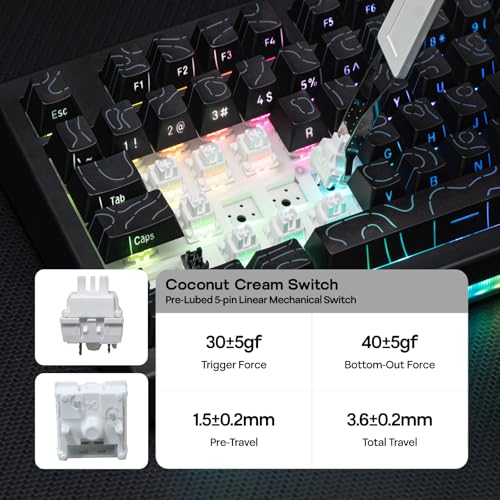 Clavier Gaming 75% Hot-Swap avec Switch Thocky Gasket