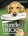 Hundetricks: die jeder lernen kann