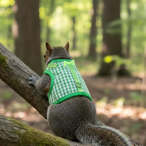 Image of Guinea Pig Harness and Leash, Adjustable Guinea Pig Harness | Elastic Guineas Pigs Leash and Harnes, Ideal for Pet Hamster Squirrel Animals, Safe Pet Supervision, Green Plaid