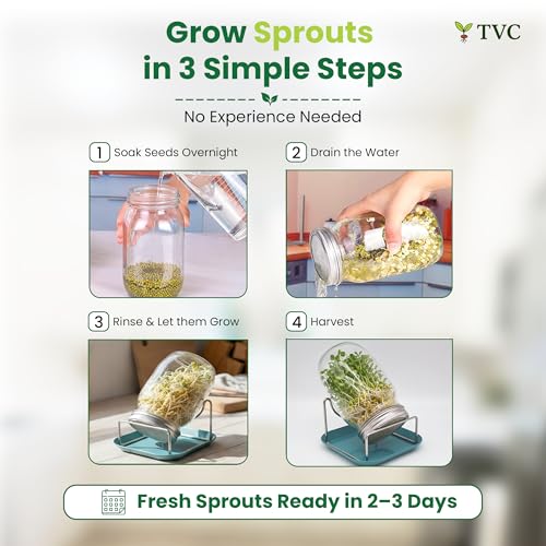 Image of TVC 1L Glass Sprout Maker Jar with Stainless Steel Mesh Lid & Stand | For All Sprouts & Microgreens | Plastic-Free Sprouting Kit | Easy Rinse & Drain, Dishwasher Safe, Rust-Free