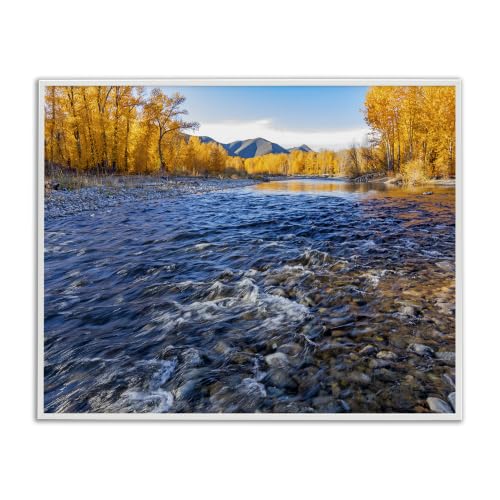 Stupell Industries Serene Babbling Brook Foliage Surrounding Lake Water, Design by Steve Smith, White Framed, 30 x 24
