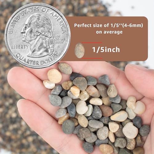 Image of 20LB Natural River Rocks, 1 /4 inch Aquarium Gravel, Small Pebbles for Plants, Pea Gravel for Fish Tanks, Decorative Rocks for Gardening, Flower Pots, Vase Fillers, Indoor Fountains (20 LBS)