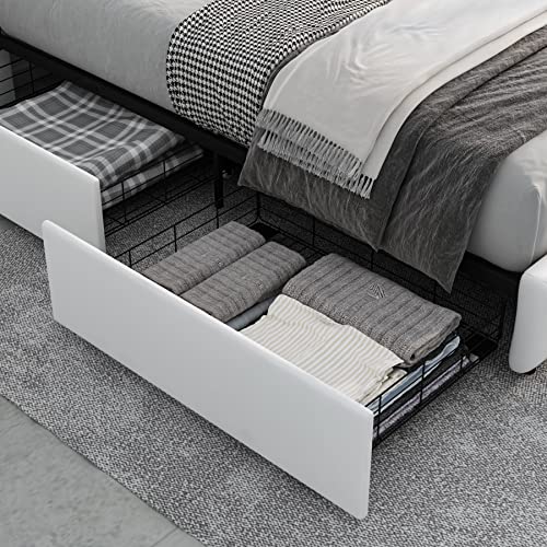 https://m.media-amazon.com/images/I/5157a01cdfL._SL500_.jpg