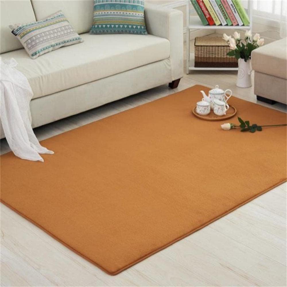Tapis de salon moderne antidérapant LUNEZY grand format marron durable
