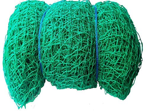 DM Cricket net Size 100 x15 Feet Green Thickness 1mm Cricket Practice net (B07ZVK5ZM7) Amazon Price History, Amazon Price Tracker