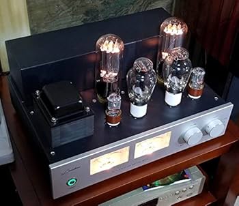 Amazon.co.jp: PSVANE300B-SE+845 6球最高級ステレオ真空管