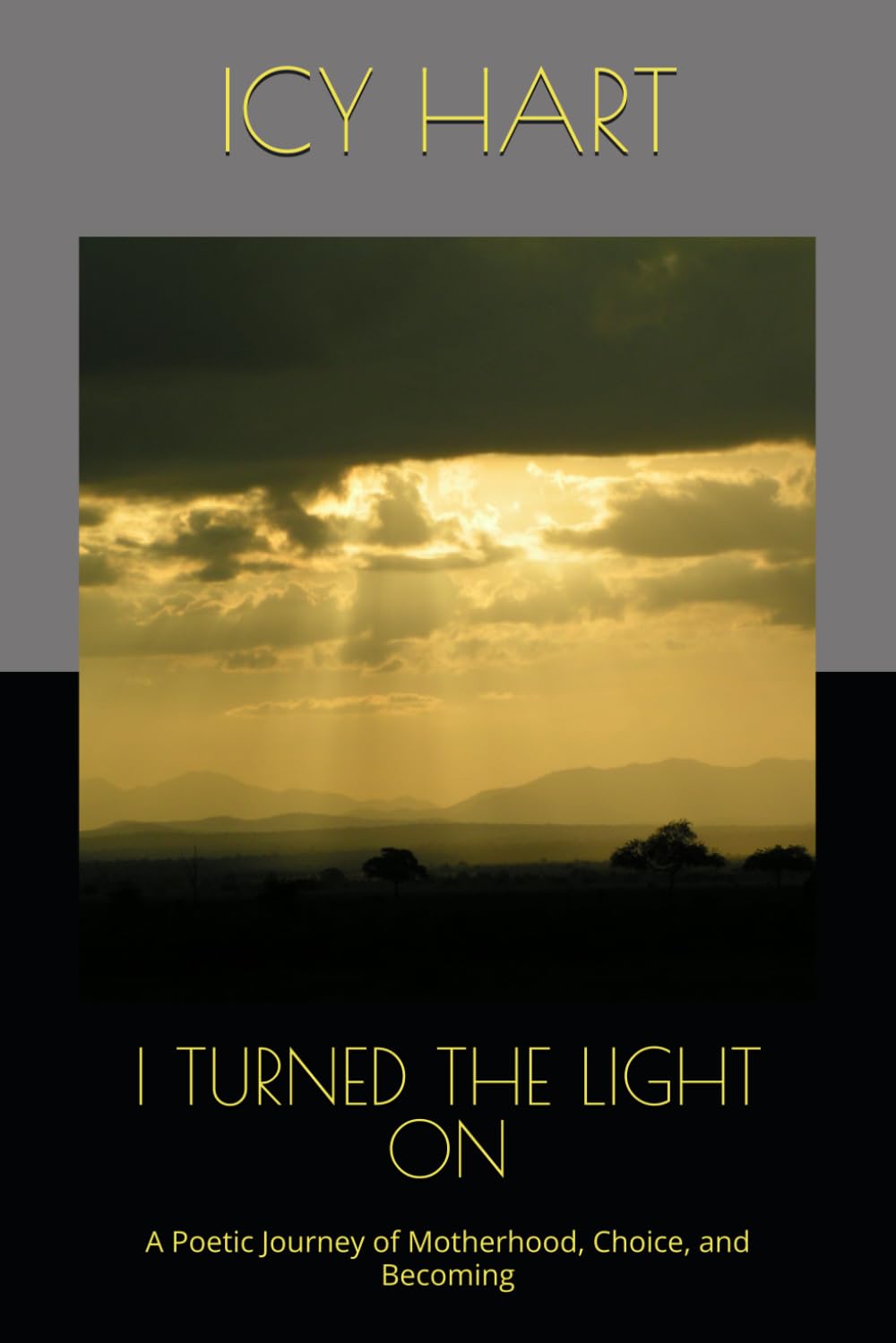 I TURNED THE LIGHT ON: A Poetic Journey of Motherhood, Choice, and Becoming