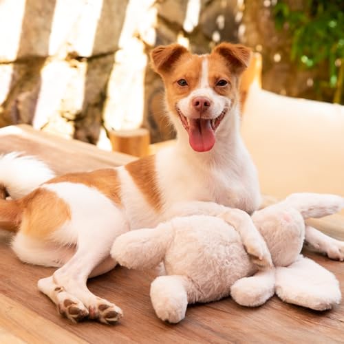 Image of Best Pet Supplies Squeaky Dog Toys with Soft Durable Fabric for Small, Medium and Large Pets Interactive Toy for Indoor Play, Supports Active Biting and Play - Bunny (Beige), Small