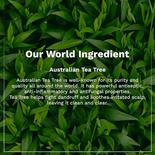 Image of Khadi Vedimatic Organic Tea Tree Triple Treat Invigorating Shampoo with No Parabens, No Sulphates, No Mineral Oil, No Colours, No PEG, Organic, For all hair types (Pack of 1, Tea Tree)