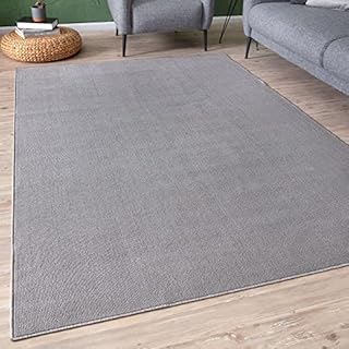 THE RUGS Low Pile Area Rugs  Modern Indoor Rugs for Living Room, Bedroom, Dining Room, Entryway  Non-Shedding (Silver, 80x300 cm)