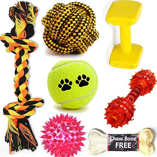 BLACK DOG Attractive Cotton Poly Mix Toys Suitable for Small & Medium Puppies Combo of Tennis Ball, Cotton Rope, Squeeze, Chew Rope Ball, Plastic Dumbly Toys (Buy One Combo Get One Chew Bone Free)