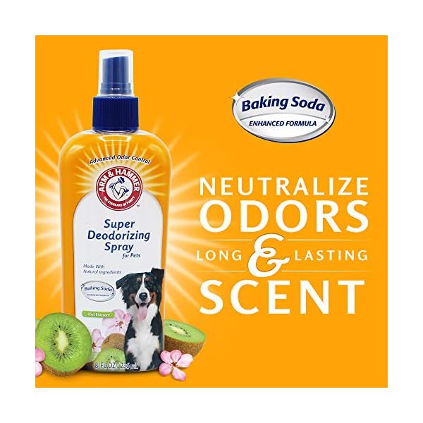 Arm-Hammer-for-Pets-Super-Deodorizing-Spray-for-Dogs-Best-Odor-Eliminating-Spray-for-All-Dogs-Puppies-Fresh-Kiwi-Blossom-Scent-That-Smells-Great-8-Ounces Arm-Hammer-for-Pets-Super-Deodorizing-Spray-for-Dogs-Best-Odor-Eliminating-Spray-for-All-Dogs-Puppies-Fresh-Kiwi-Blossom-Scent-That-Smells-Great-8-Ounces