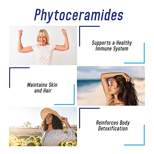 We Like Vitamins Phytoceramides 700Mg - 200 Capsules All Natural Wheat Free And Plant Based - Phytoceramide Supplement - 700 Mg Per Serving - Skin Hydration, Repair, Rejuvination. #TOP2