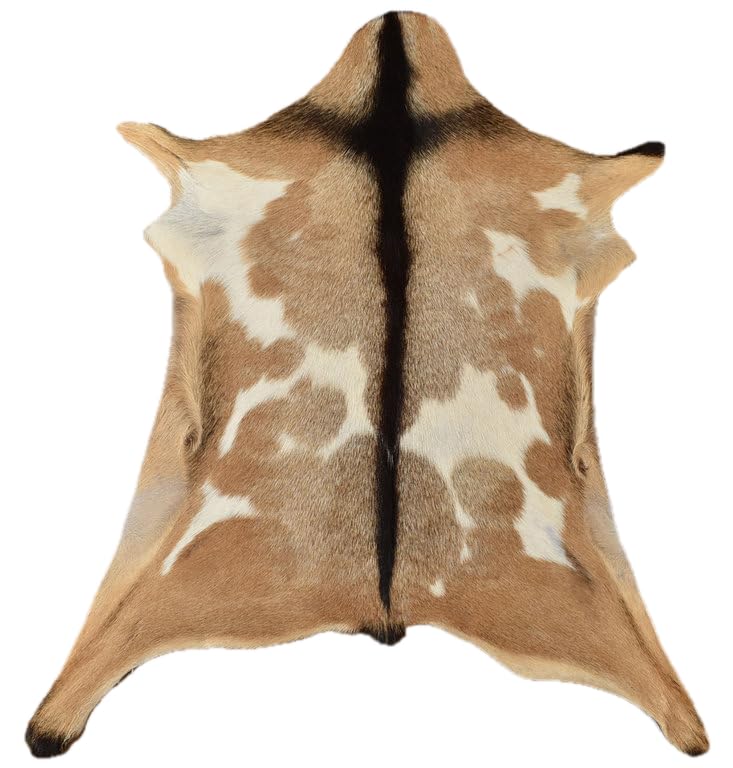 generisch Ziegenfell Beige Hellbraun ca.. 80 x 60 cm echtes Ziegen Fell Deko Fell von KUHFELLE...