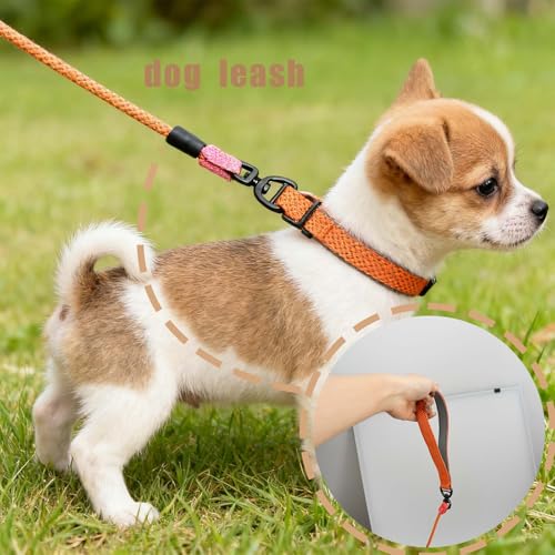 Rieoany Retrieverleine mit Zugstopp, 6mm x 180cm Hundeleine für kleine, mittlere und große Hunde, Zugstopp Halsband Hund, Leichte Hundeleine mit Halsband, Retrieverleine für Training und Spaziergang