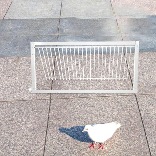 Puerta para pájaros de hierro con diseño encriptado de alta resistencia plata 7