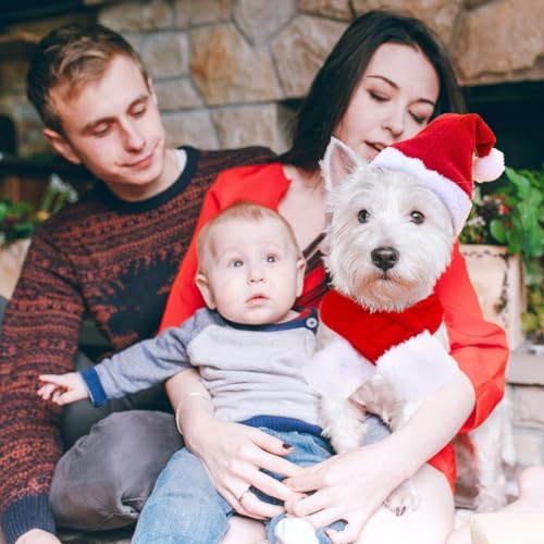 Katzen Hunde Weihnachtskostüm, Haustier Kostüm Weihnachten Kleidung Weihnachtsmütze und Schal für Klein Hund Katze, Rot Katzenbekleidung Hundebekleidung Lustig Mütze Deko Weihnachts Outfit Geschenk