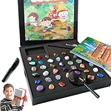 Almacenamiento y exhibición convenientes: el juego incluye una caja de almacenamiento resistente con compartimentos, lo que facilita que los niños organicen y exhiban su colección mientras mantienen todo seguro y accesible para futuras exploraciones.