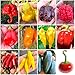 Produktbild 120 Chili-Pfeffer-Samen in 12 Sorten der schärfsten und leckersten der Welt, Kollektion 2 + Anbauanleitung: CAROLINA REAPER, SCORPION, JIGSAW, BORG 9, HABANERO, FATALII, ACRATA, JALAPENO, SATANA