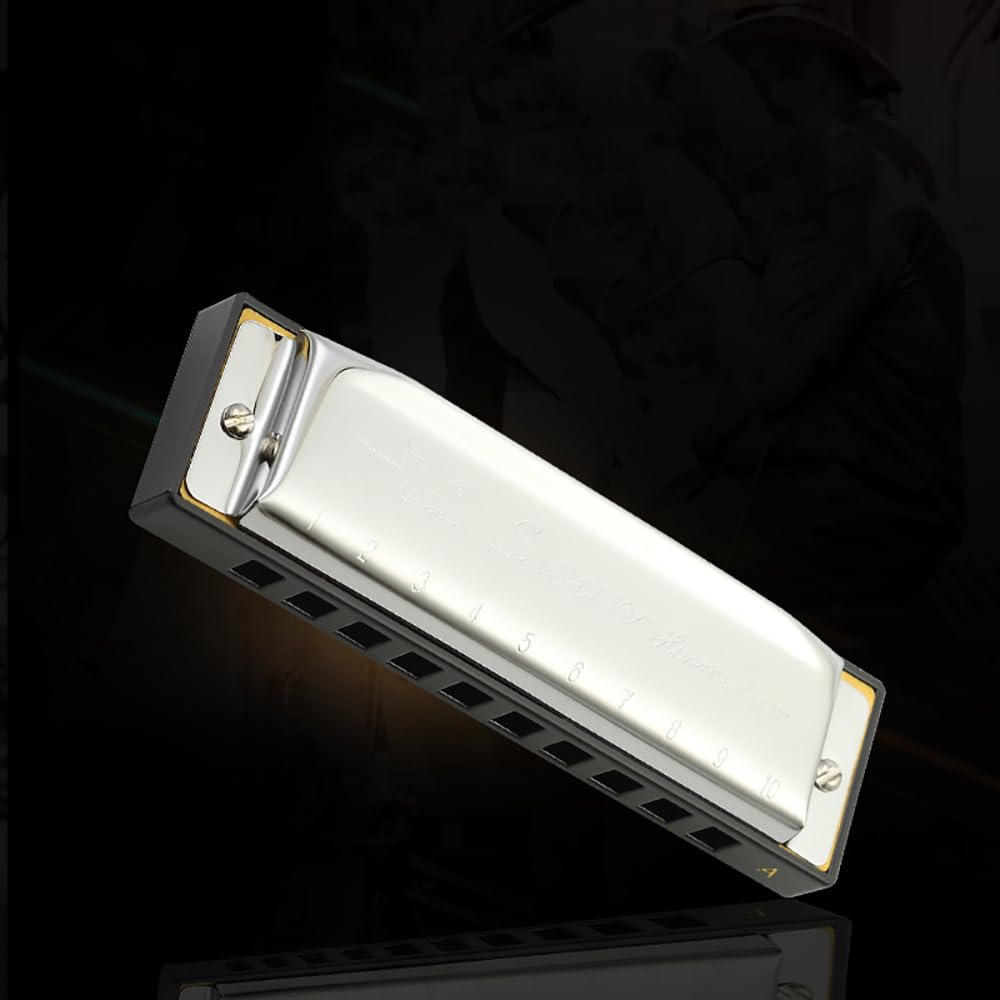 Swan Harmonica - Juego de armónica de 10 agujeros, 7/12 tonos, caja de regalo, armónica para principiantes y adultos (juego de 7 tonos)