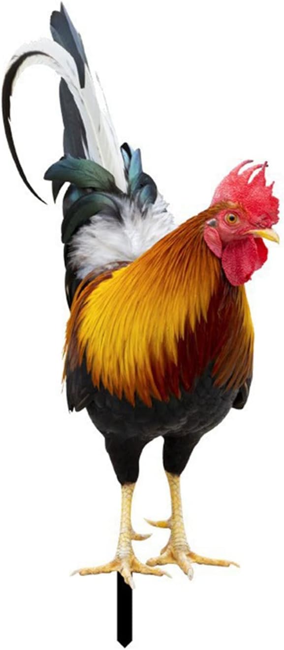 Altsuceser Acrylic Rooster Garden Stake Rooster Animal