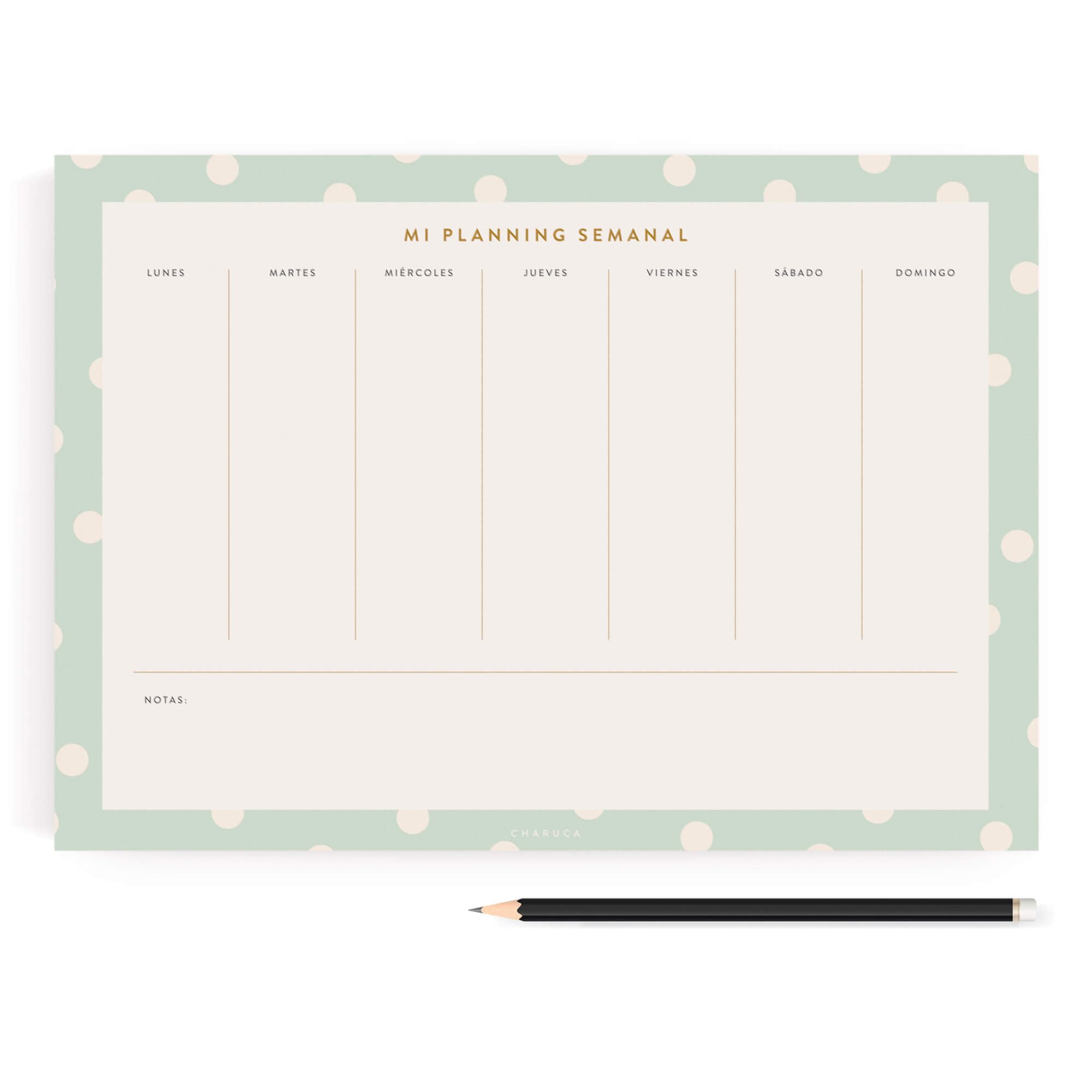 CHARUCA - Planificador Charuca Semanal A4 | Tu Semana a la Vista y en Orden con Organizador de 60 Hojas a Todo Color Tamaño A4, 29.7x21 cms (Mint)