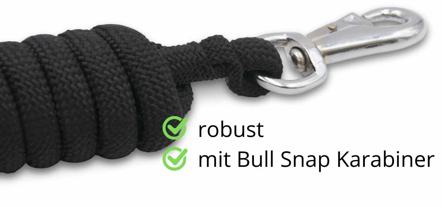 AMKA Bodenarbeitsseil Bodenleine Führseil 3,2 m mit Bull Snap