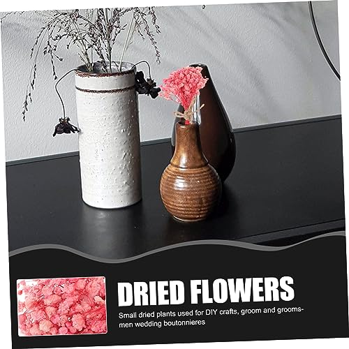 Mini ramo de flores secas decorativas pack 5 miniatura 6