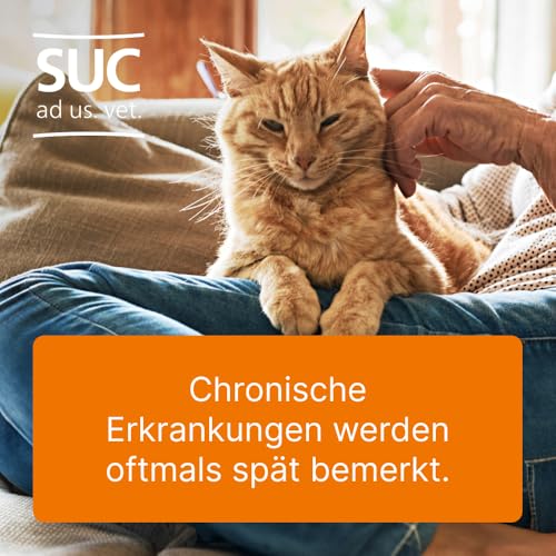 SUC-Kombination von Heel Vet | 3x10 Ampullen | Natürliche Tierarzneimittel für Hunde und Katzen | Made in Germany