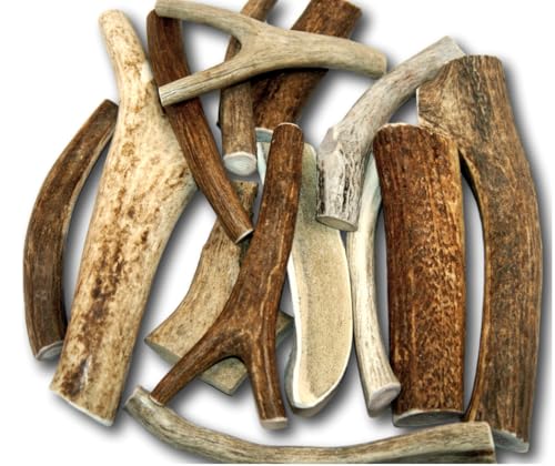 Top Dog Chews – Approximately 1LB Deer Antlers, Premium, Grade A, Deer Antlers for Large, Medium