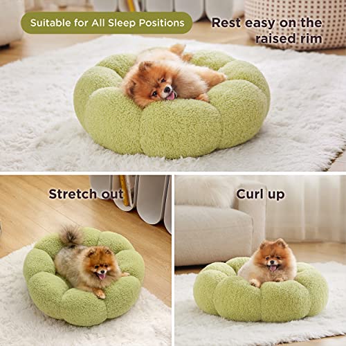 Lesure Calming Small Dog Bed - Donut Round Fluffy Puppy Bed In Teddy Sherpa Plush, Anti-Slip Cute Flower Cat Beds For Indoor Cats, Anti-Anxiety Pet Bed Fits Up To 25 Lbs, Machine Washable, Green 23" #TOP3
