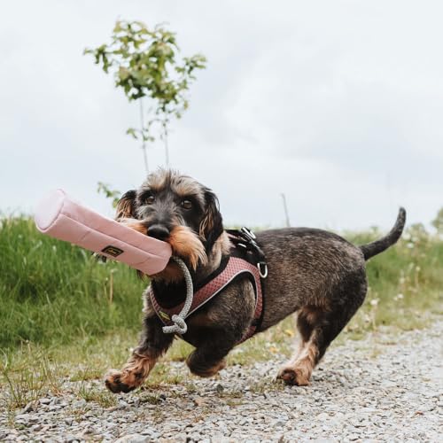 HUNTER Trainer Snack Dummy mit Seil Größe 20 cm, Farbe Altrosa