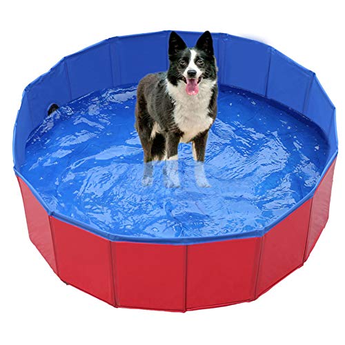 Ruick - Piscina plegable para perros - Piscina para mascotas - Piscina plegable para perros - Pvc - Bañera para mascotas