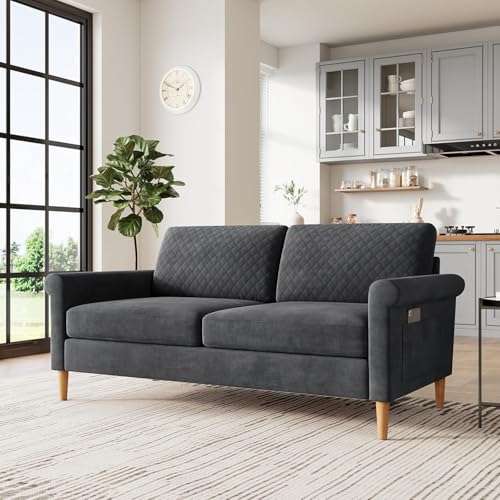 Vesgantti Sofa 2 Sitzer, 164cm Modernes 2er Sofa mit beidseitigen Taschen, Stoff couch mit 2 Kissen und Sitzkissen, Doppelsofa für Wohnzimmer, Schlafzimmer, Büro, Montage ohne Werkzeug 164L*76D*85H cm