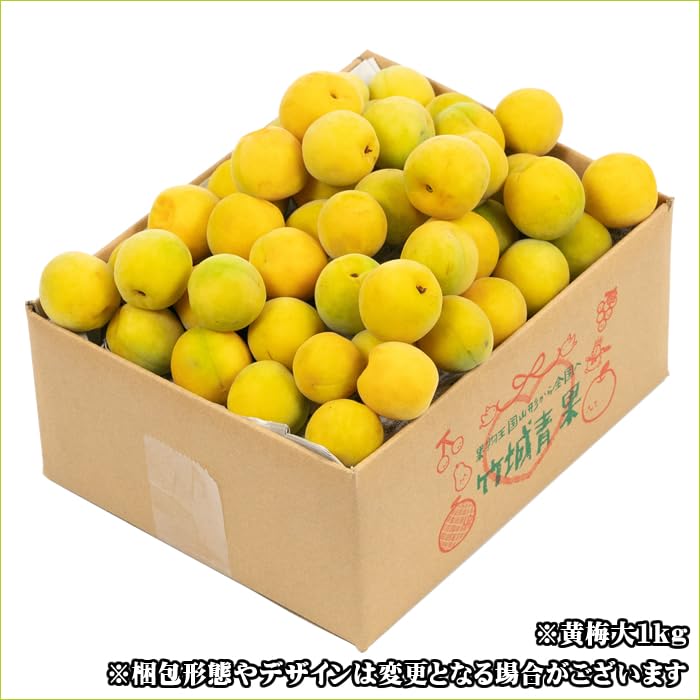 Amazon.co.jp: 竹城青果 山形県産 加工用 青梅 1kg : 食品・飲料・お酒