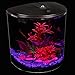 Koller Products AquaView 3.5-Gallon Plastic Aquarium Starter Kit with Power Filter & LED Lighting (7 Color Selections), Ideal for a Variety of Fish,Tropical Fish - Betta Fish