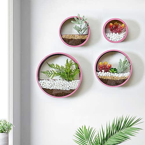 Conjunto mixto de 4 macetas colgantes de pared circulares verticales Cover