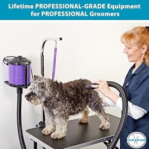 Gustyair mini dog blow dryer  professional commercial grade force dryer for groomers  quiet high velocity air dryer hose attachments variable speed no heating element  usa company  purple   cucciolini doodles