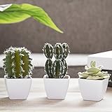Set of 3 Artificial Cactus Plants in White Ceramic Mini Garden Pots