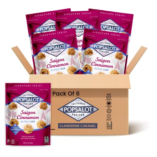 Popsalot - Gourmet Popcorn | Flavored Popcorn | Oven-Baked | Kettle Corn | Gluten-Free | Air-Popped | Oil-Popped (Saigon Cinnamon Kettle Corn, Pack Of 6) #TOP6