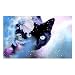 Produktbild broadroot schwarz Katze 5D Diamant DIY Malerei Craft Kit