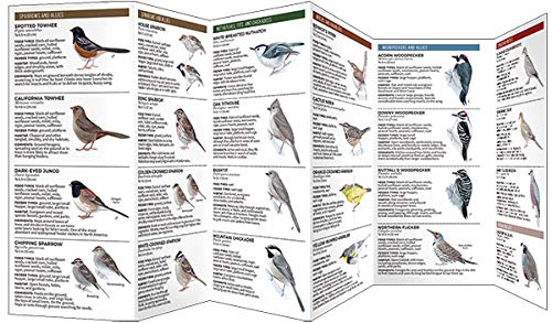 Feeder Birds of Southern California: A Folding Pocket Guide to Common Backyard Birds (All About Birds) - Thumbnail 3