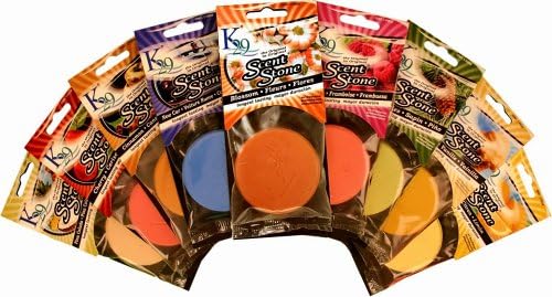 K29 KeyStone Scent-Stone Car and Home Air Freshener, New Car Smell