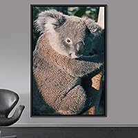 Framed Canvas Wall Art Koala Animals Expressive Koala Living Room Multicolor Photography Tropical - 16x24 inches