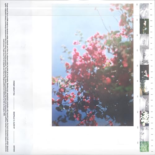 edapollo & Alice Ivy