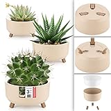 Kaufen Sie jetzt Ihren Blumentopf, Pflanzentopf oder Übertopf bei uns und lassen Sie Ihre Pflanzen in voller Pracht erstrahlen!