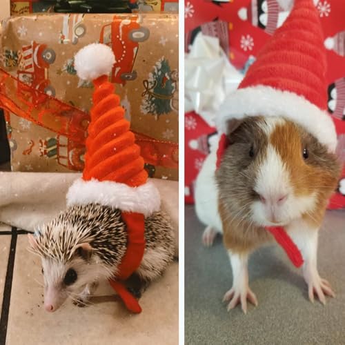 Sombrero de Navidad para mascota pequeña miniatura 6