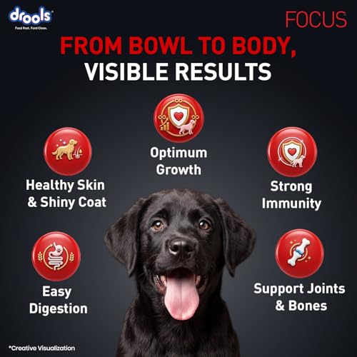 Image of Drools Focus Premium Puppy Dry Dog Food, 100 g Pack