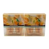 Bath & Body Works Sun-Washed Citrus High Intensity Wallflowers Fragrance Refill 4-Pack 0.8 oz, Yellolow