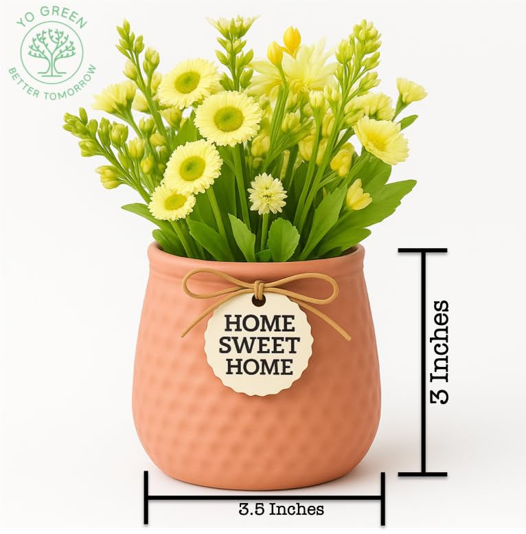 Image of Yo Green Ceramic Plant Pot for Indoor & Outdoor, Modern Planter for Home & Office Decor, Durable, Stylish Finish, Ideal for Tabletop, Shelf, Balcony, Great Gift Idea (Peach, 3 Inches)
